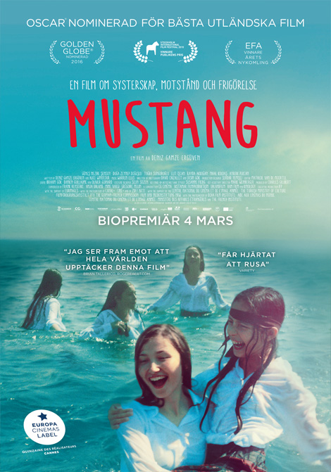 Mustang poster