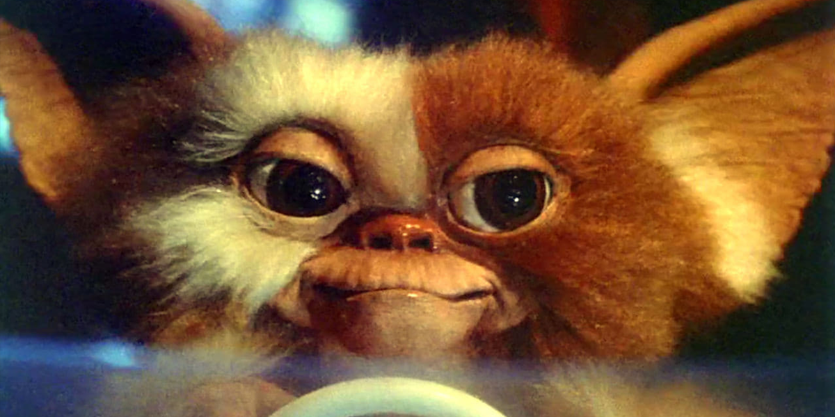 Gremlins Bild