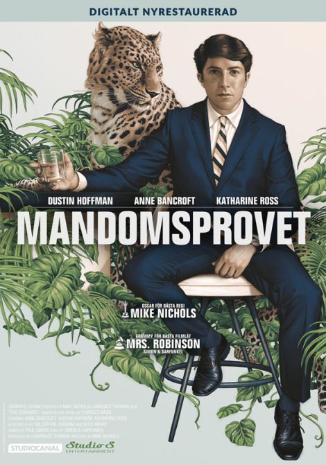 Mandomsprovet poster