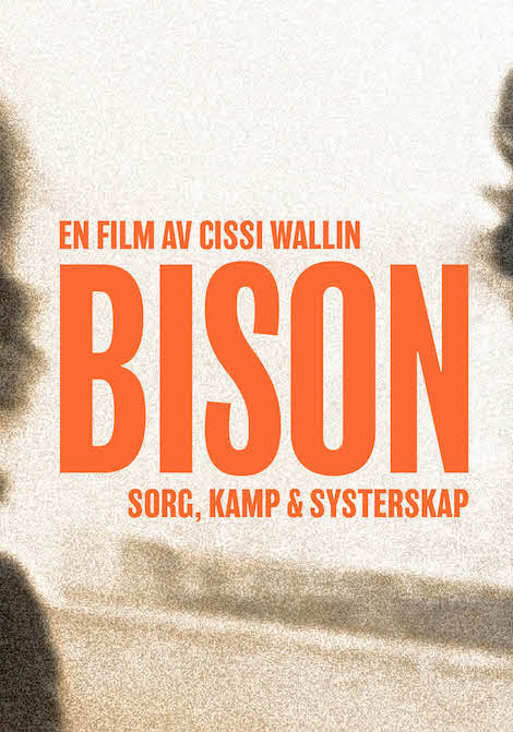 Bison poster