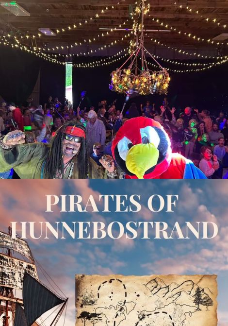 Pirates of Hunnebostrand poster