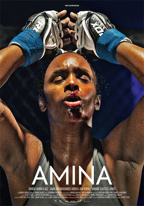 Amina poster