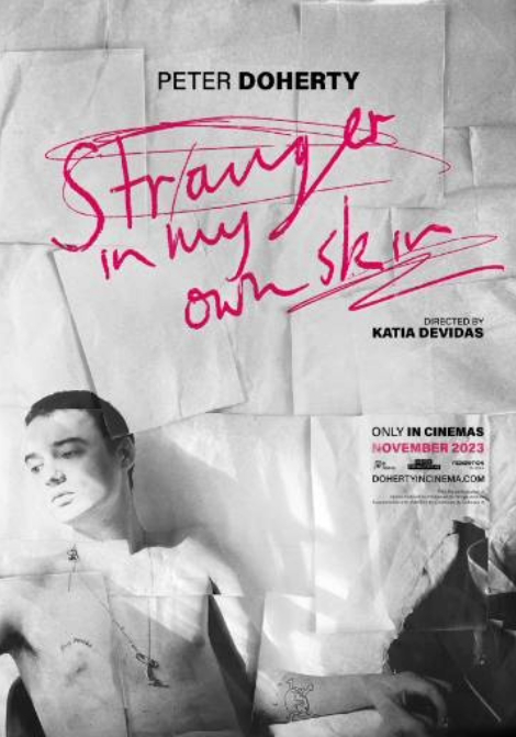 Peter Doherty: Stranger In My Own Skin poster