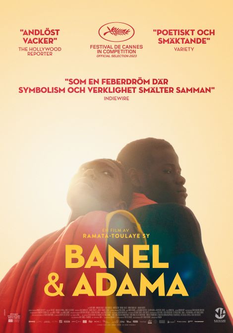 Filmposter för Banel & Adama