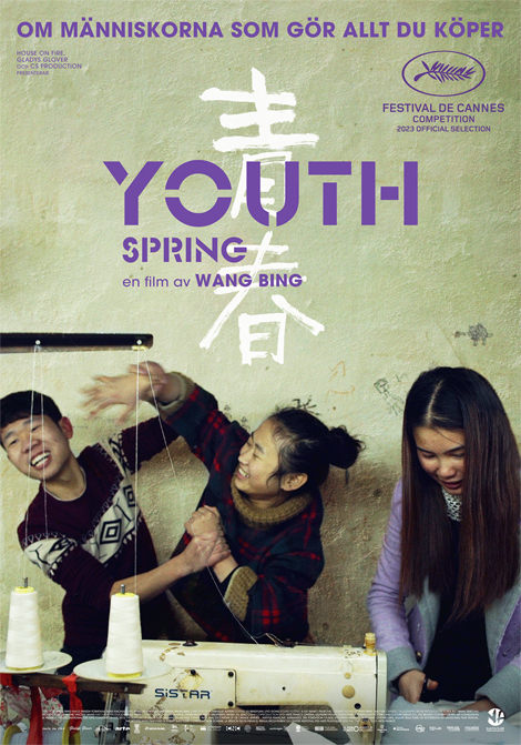 Youth (Spring) poster