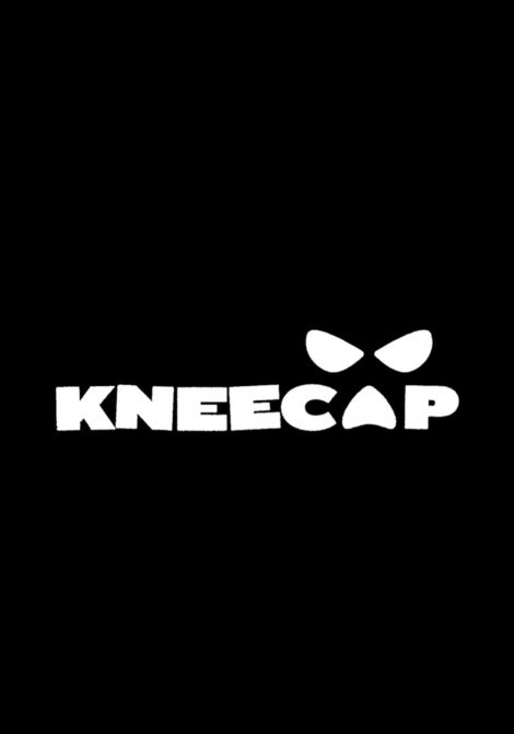Kneecap poster