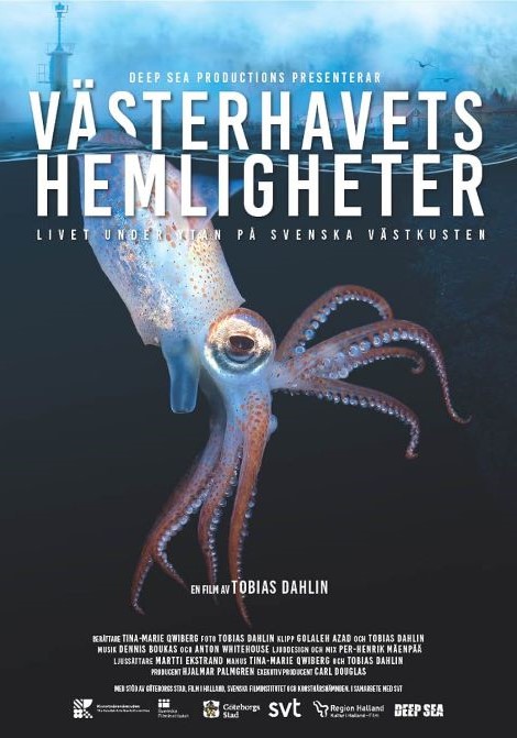 Affisch: Västerhavets hemligheter