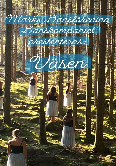 DansShow 2024: Väsen poster