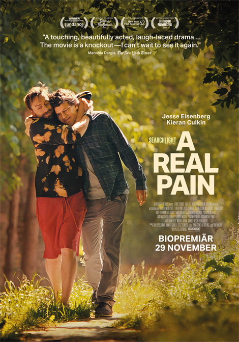 A Real Pain poster