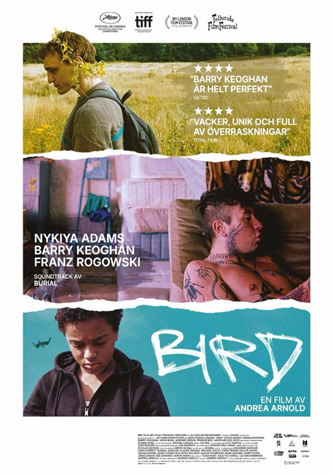 Filmposter för Bird – 2025-03-28T18:00:00