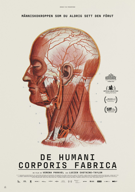 De humani corporis fabrica poster