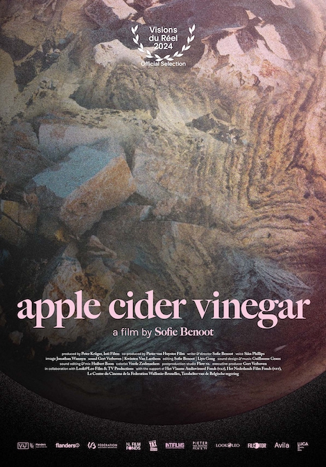 Apple Cider Vinegar poster