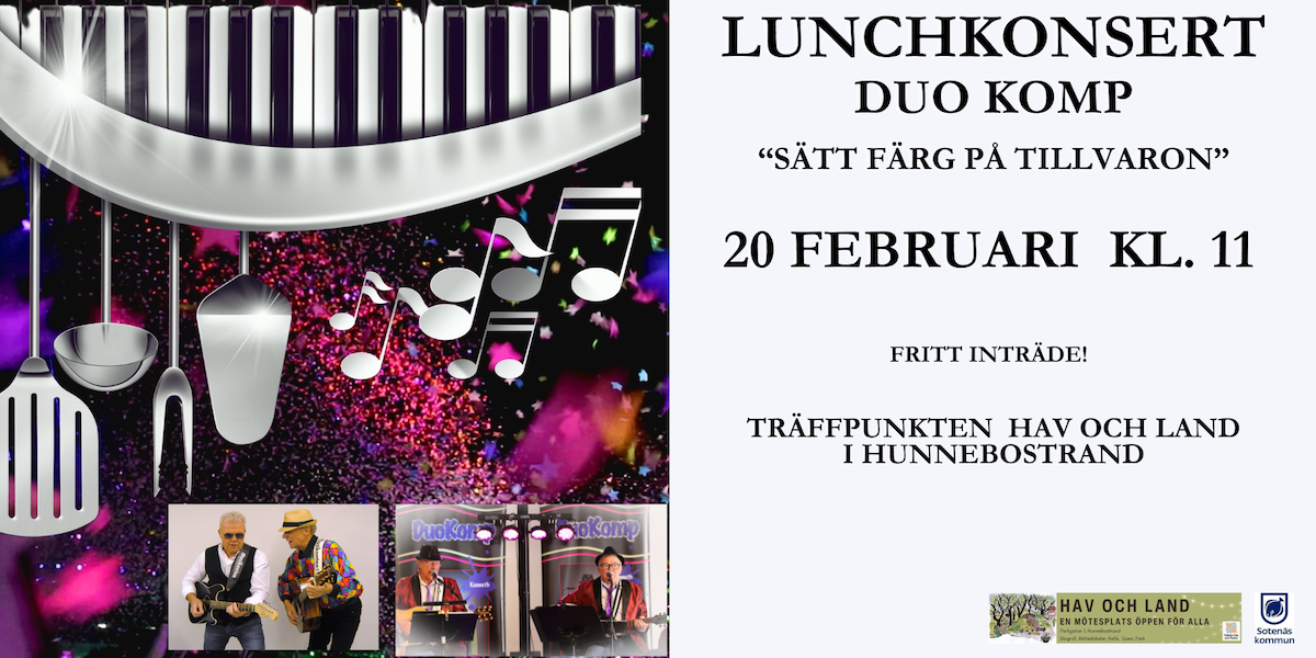 Lunchkonsert med Duo Komp! Bild