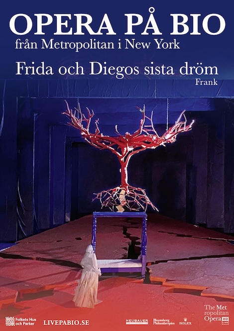 Frida och Diegos sista dröm poster