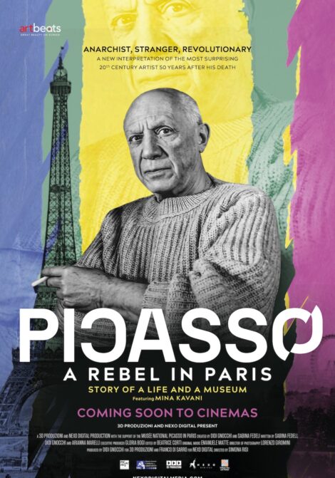 Picasso - A Rebel in Paris poster
