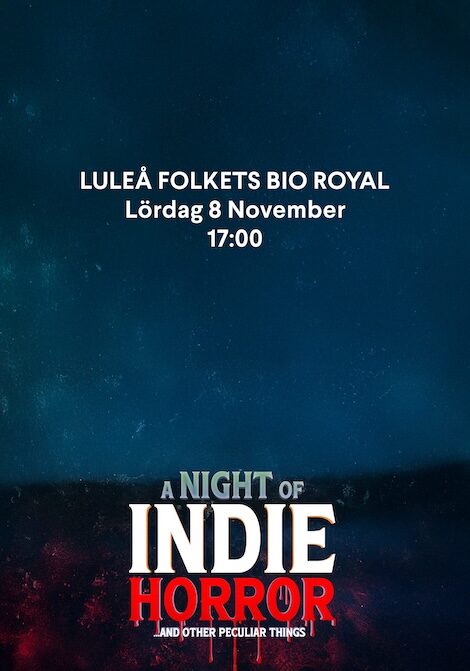 A Night of Indie Horror poster