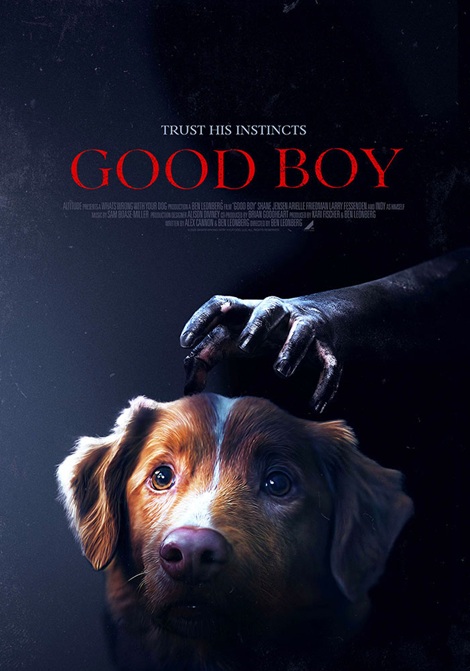 Good Boy poster