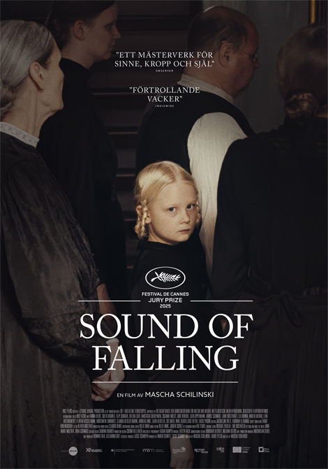Sound of Falling poster