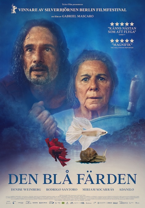Den blå färden poster