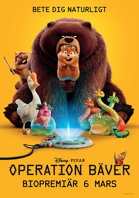 Operation bäver poster