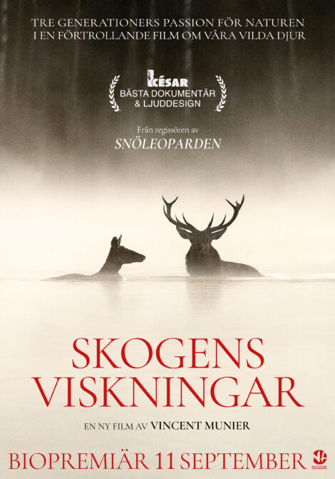 Affisch: Skogens viskningar