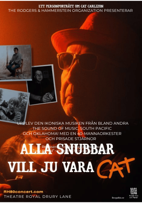 Filmposter för Alla snubbar vill ju vara Cat