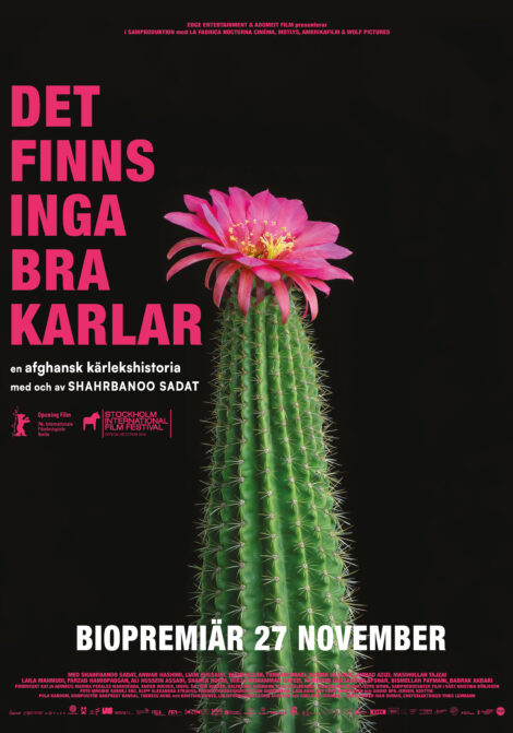 Filmposter för Det finns inga bra karlar